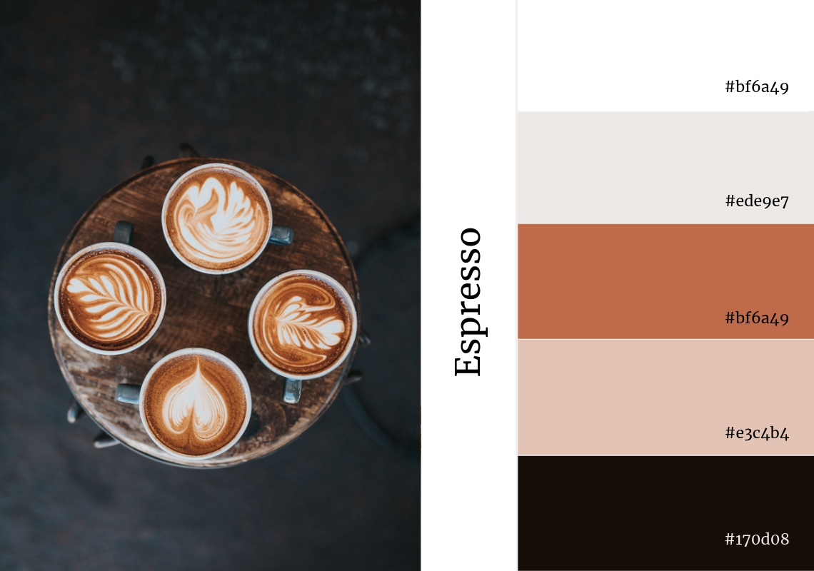 neutral colour pallette espresso brown grey